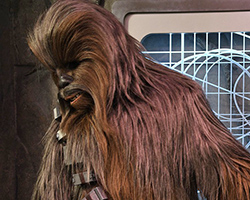 Chewbacca from Star Wars