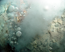 Hydrothermal vent spewing gases and heat
