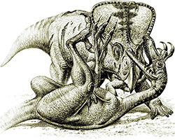 an illustration of a protoceratops and velociraptor fighting