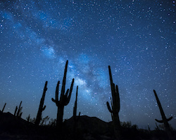 Starry desert sky, with saguaros on the horizon