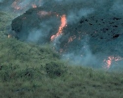 Manua Loa lava flow, type a'a