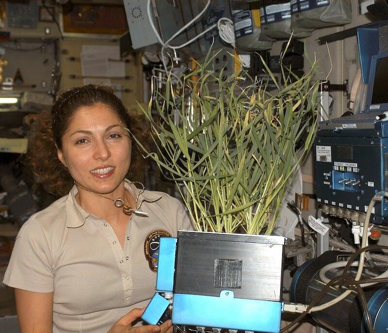 Anousheh Ansari with a plant in the ISS